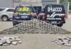 Ação conjunta apreende 326 quilos de cocaína e prende 2 homens 