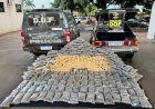 DOF apreende mais de 275 quilos de drogas e prende rapaz de 24 anos
