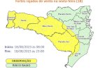 Defesa Civil do Estado alerta para fortes rajadas de vento nesta sexta em SC