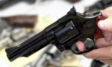 Deputados pedem ao TSE proibição de circulação de armas nas eleições