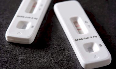 OMS adverte que casos globais de Covid-19 dobraram em menos de dois meses