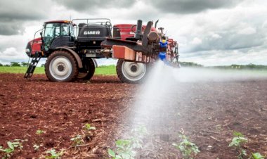 Soja: 6 dicas para a fase final do manejo da lavoura até a colheita