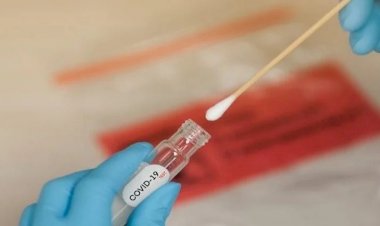 MS registra quase 950 casos de Covid-19 na última semana 