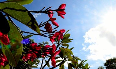 Tempo seco, sol forte e temperaturas em elevação em MS