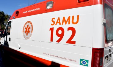 Homem morre esmagado após queda de árvore em Dourados