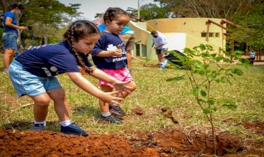 Agems realiza plantio de novas mudas no Arco dos Ipês em Campo Grande