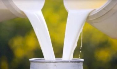 Preços pagos aos produtores de café e leite apresentam queda