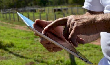 Brasil conta com mais de 1,7 mil startups voltadas à agropecuária