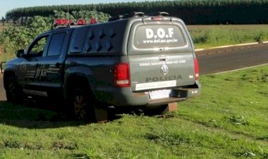 Mulher é presa em Amambai transportando droga em ônibus