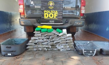 DOF apreende drogas que seguiam entregues no Rio de Janeiro