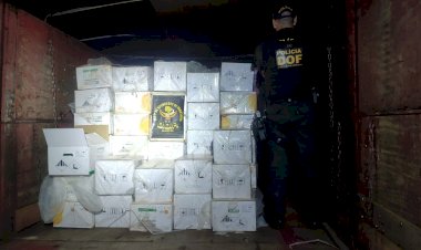 Polícia apreende carreta com quase R$ 750 mil em defensivos agrícolas contrabandeados