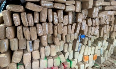 PF apreende mais de 1 tonelada de maconha na fronteira