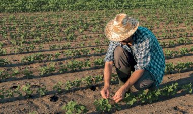 Atualizadas condições para inscrição no CNAF