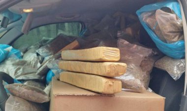 PMR prende 2 com mais de meia tonelada de maconha e fecha entreposto