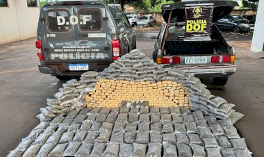 DOF apreende mais de 275 quilos de drogas e prende rapaz de 24 anos