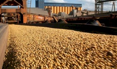 Produtos do agronegócio responderam por 90?s exportações de MS