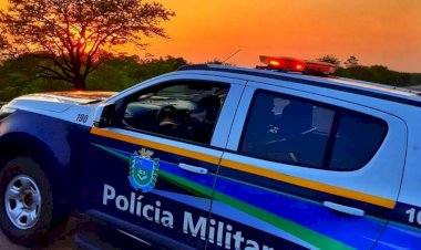 Cachorros são mortos a pauladas por turistas de Maracaju em chácara alugada