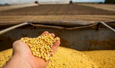 Brasil volta a registrar negócios com soja após virada do ano