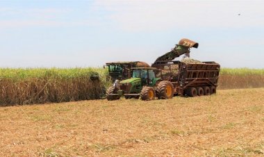 MS se torna referência no setor sucroenergético