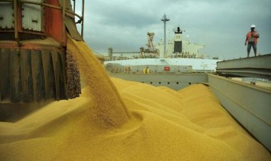 Anec eleva previsão de exportação de milho, soja e trigo em janeiro