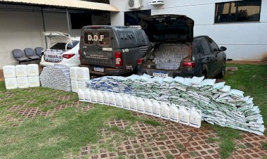 DOF apreende carro roubado com carga de defensivos agrícolas e cigarros do PY