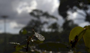 Previsão é de quinta-feira com manhã de sol e tarde de chuva