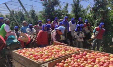 Semana começa com 4 mil vagas de trabalho; confira