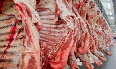 Exportações de carnes tem alta de quase 30% e MS caminha para ser multiproteína