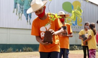 MS comemora Dia Mundial da Educação Ambiental com ações que contribuem com a preservação