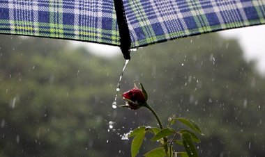 Segunda segue com temperaturas altas e pancadas de chuva
