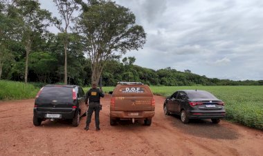 Veículos furtados em SP são recuperados pelo DOF horas depois do crime 