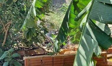 Vizinhos encontram corpo de jovem assassinado e incendiado 