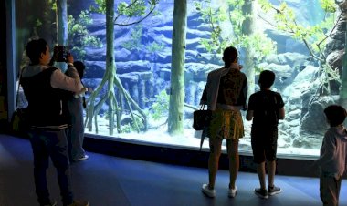 Bioparque Pantanal define funcionamento durante o Carnaval; agendamento começa hoje