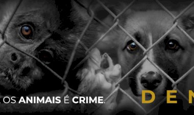 Maus tratos de Animais - Denuncie