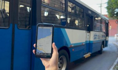 Novo app Floripa no Ponto traz funcionalidades inéditas para usuários do transporte coletivo de Florianópolis