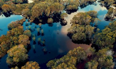 Revista Time destaca Pantanal entre os 50 melhores lugares do mundo em 2023