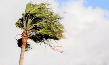 SC recebe alerta para chuvas torrenciais, rajadas de vento e risco de enxurradas; veja quando