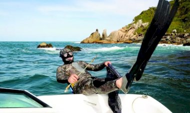 Comissão da Alesc aprova proibição para pescar e comer garoupas em SC