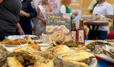 21ª edição da Fenaostra terá Péricles e dupla Fernando e Sorocaba no palco em Florianópolis