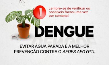 Saúde orienta sobre os cuidados com a dengue no feriado de Finados