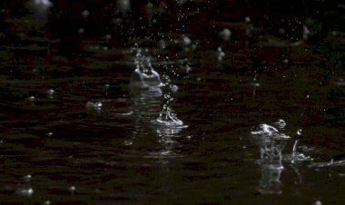 Defesa Civil de SC alerta para temporais com chuva intensa e volumosa entre a quinta (16) e o sábado (18)