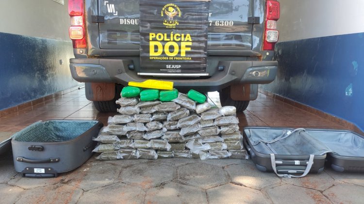 DOF apreende drogas que seguiam entregues no Rio de Janeiro