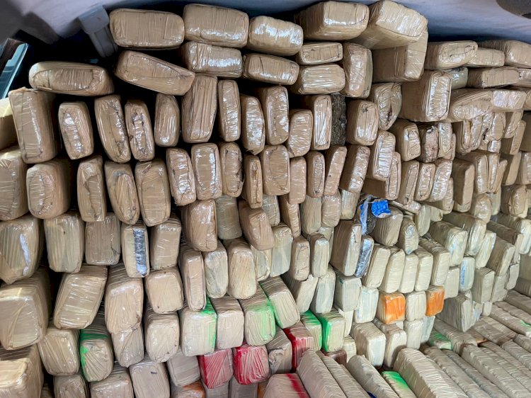 PF apreende mais de 1 tonelada de maconha na fronteira