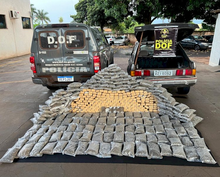 DOF apreende mais de 275 quilos de drogas e prende rapaz de 24 anos