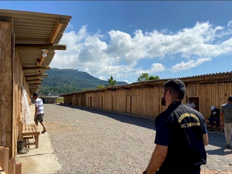 Ministério do Trabalho e Emprego resgata 24 trabalhadores venezuelanos em condição análoga à escravidão em Santa Catarina