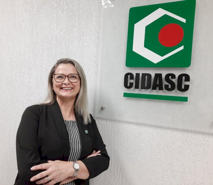 As mulheres do primeiro escalão: na nova gestão do governo catarinense, elas ocupam posições de liderança